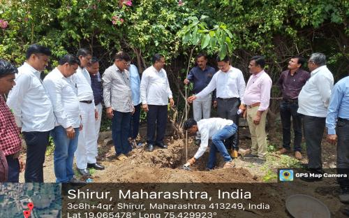 Tree Plantation