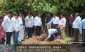 Tree Plantation